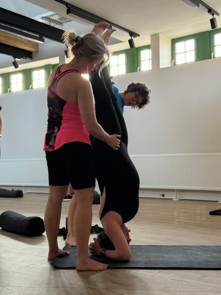 Warsztat jogi pozycje odwrócone joga wroclaw joga z Rosela 6