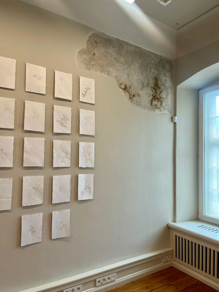 Joga w Openeim Joga Wrocław Joga w Albanii Rosela Ciko