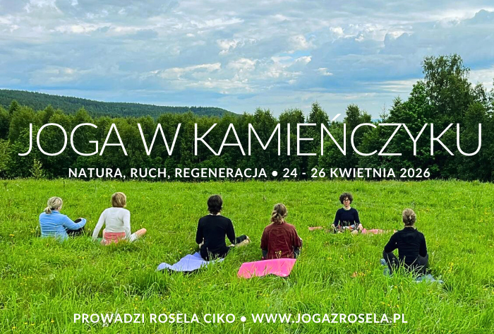 Warsztat jogi Kamieńczyk Rosela Ciko Joga Wrocław