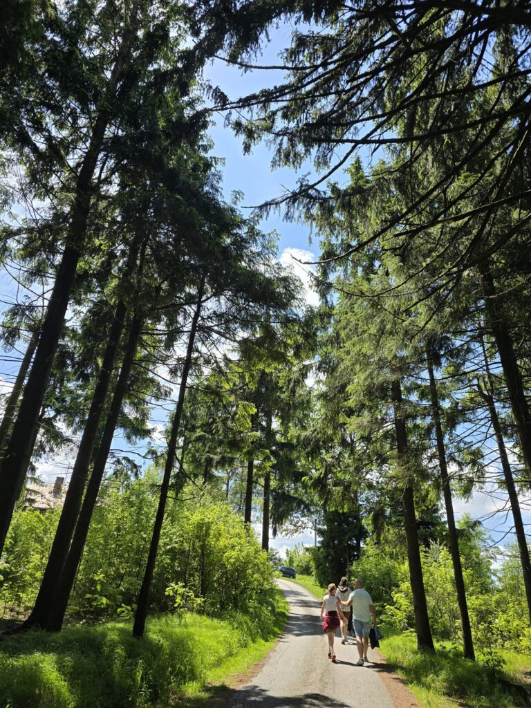 kamienczyk warsztat jogi joga wroclaw