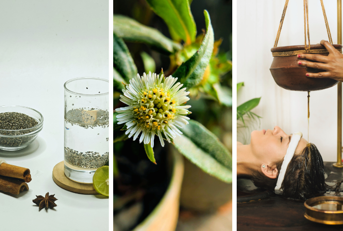 Warsztat Joga i Ajurweda Rosela Ciko Joga Wrocław